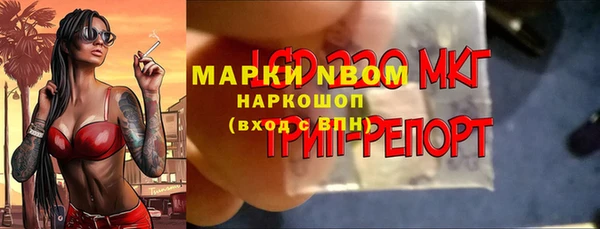 ПСИЛОЦИБИНОВЫЕ ГРИБЫ Алзамай