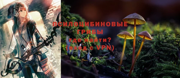 ПСИЛОЦИБИНОВЫЕ ГРИБЫ Алзамай