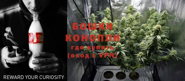 ПСИЛОЦИБИНОВЫЕ ГРИБЫ Алзамай