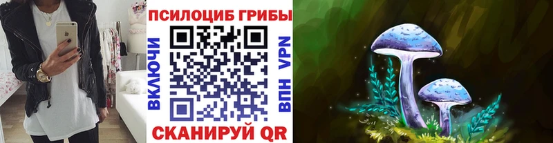закладка  Змеиногорск  Галлюциногенные грибы прущие грибы 